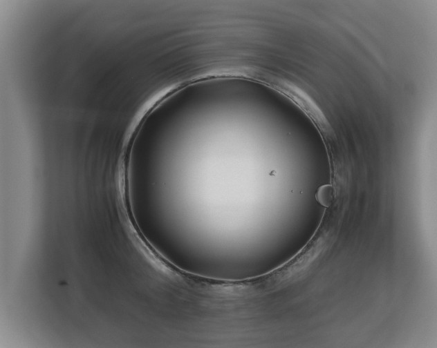 X0000113090804200909041148