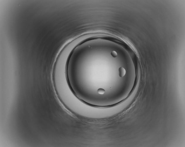X0000113090805200909041148