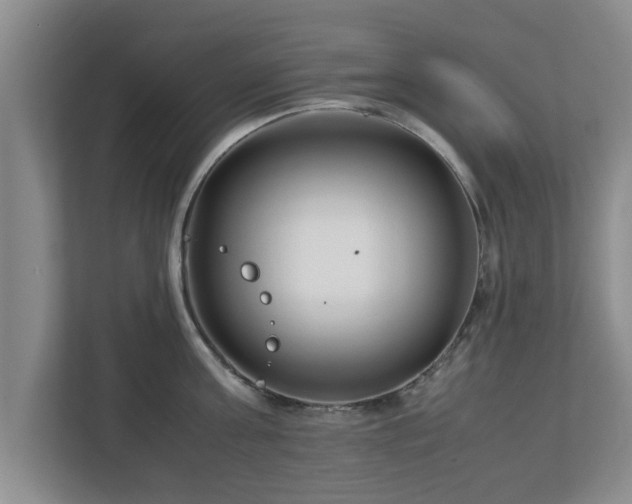 X0000113090811200909041148