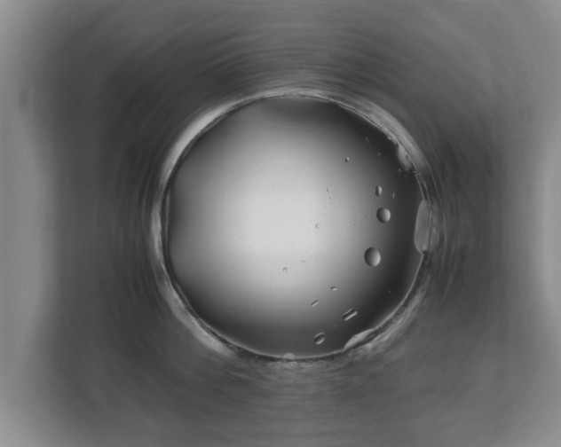 X0000113090812200909041148