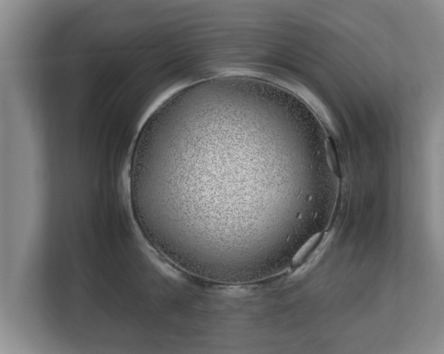 X0000113090814200909041148