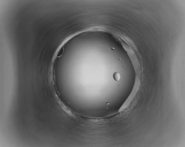 X0000113090816200909041148