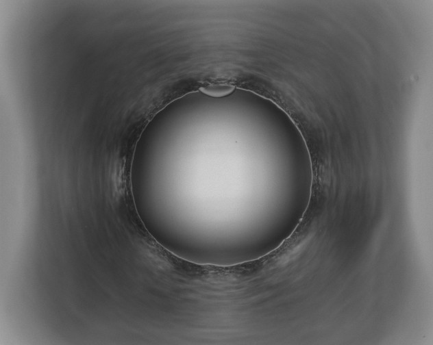 X0000113090818200909041147