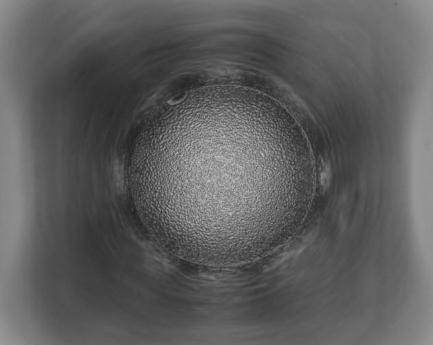 X0000113090819200909041147