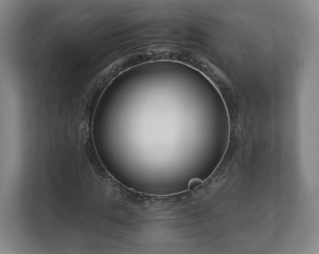 X0000113090821200909041147