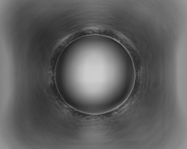 X0000113090822200909041147