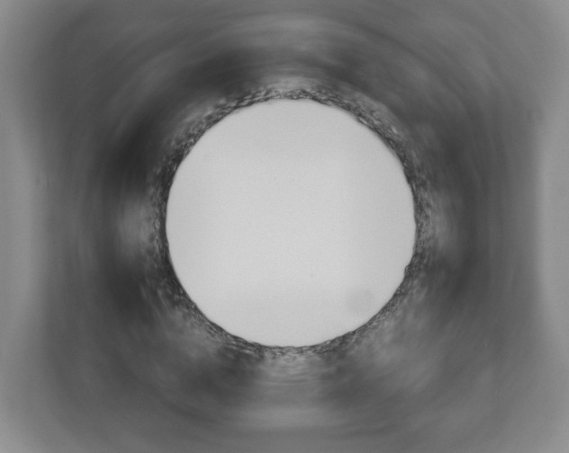 X0000113090824200909041147