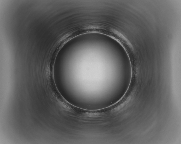 X0000113090825200909041147