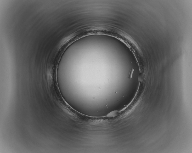 X0000113090826200909041147