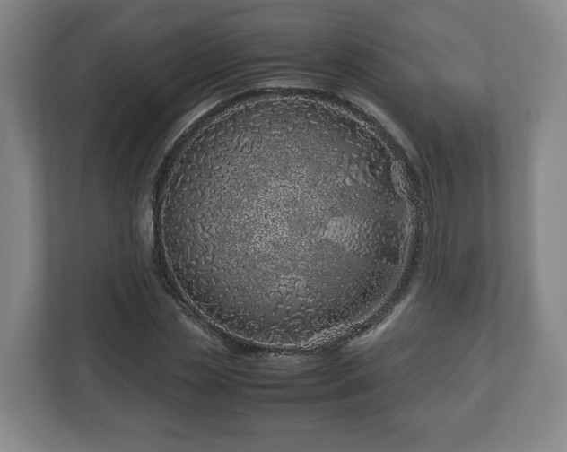 X0000113090829200909041147