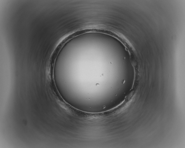 X0000113090830200909041147