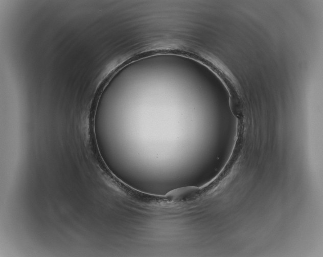 X0000113090834200909041147
