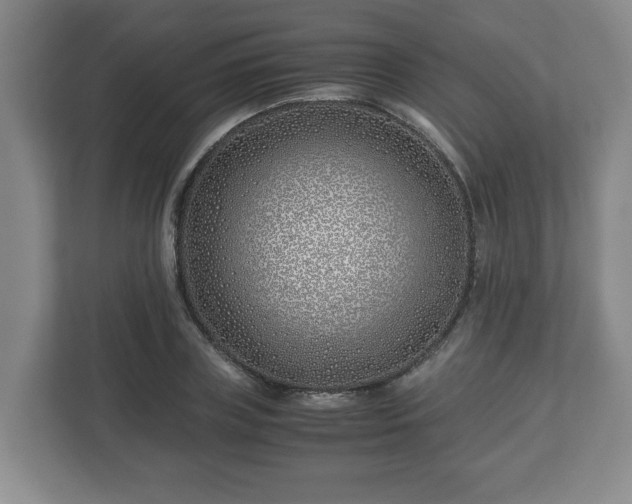 X0000113090835200909041147