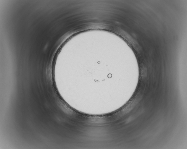 X0000113090836200909041147