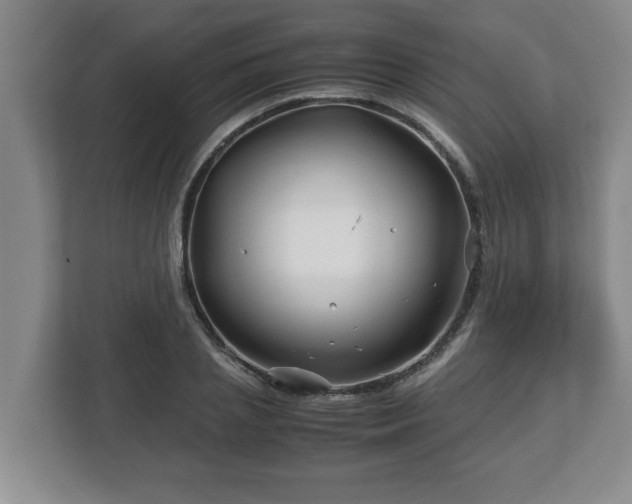 X0000113090837200909041147