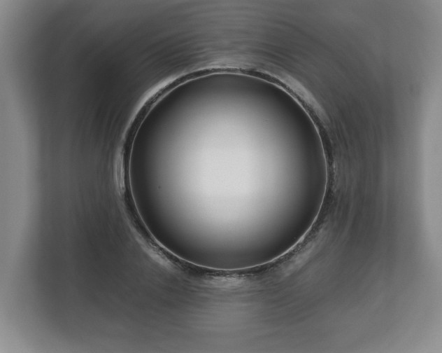 X0000113090838200909041147