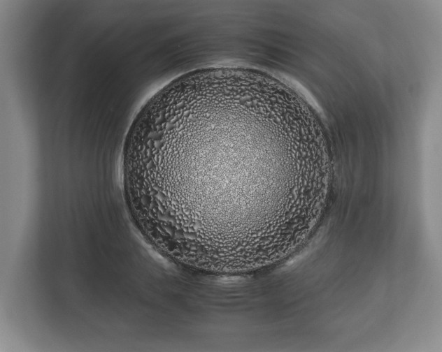 X0000113090839200909041147