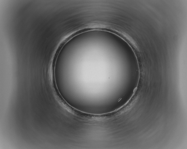 X0000113090840200909041147