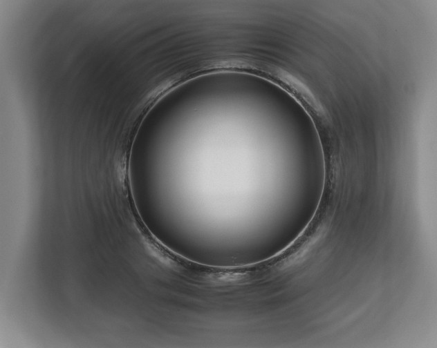 X0000113090841200909041147