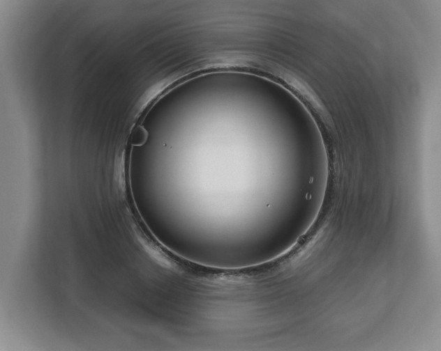 X0000113090842200909041147