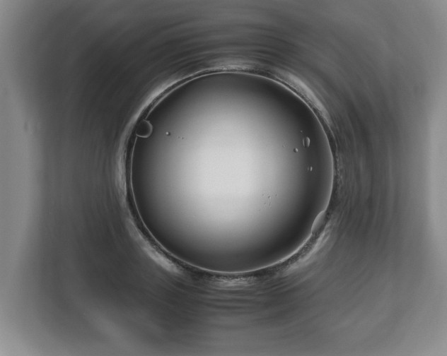 X0000113090843200909041147
