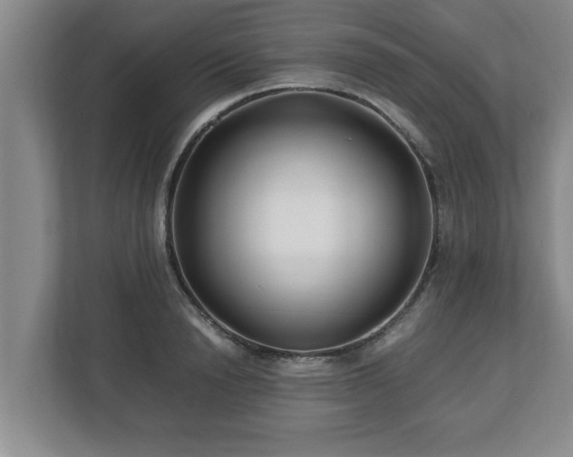 X0000113090846200909041147