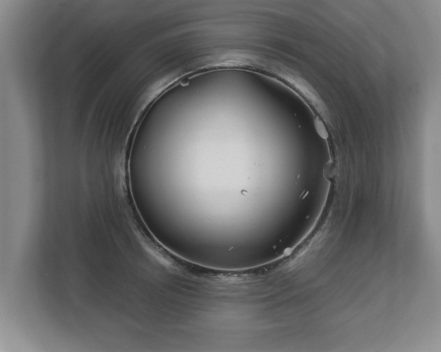 X0000113090850200909041147