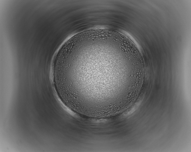 X0000113090851200909041147