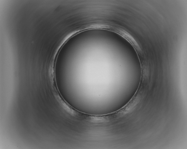 X0000113090852200909041147