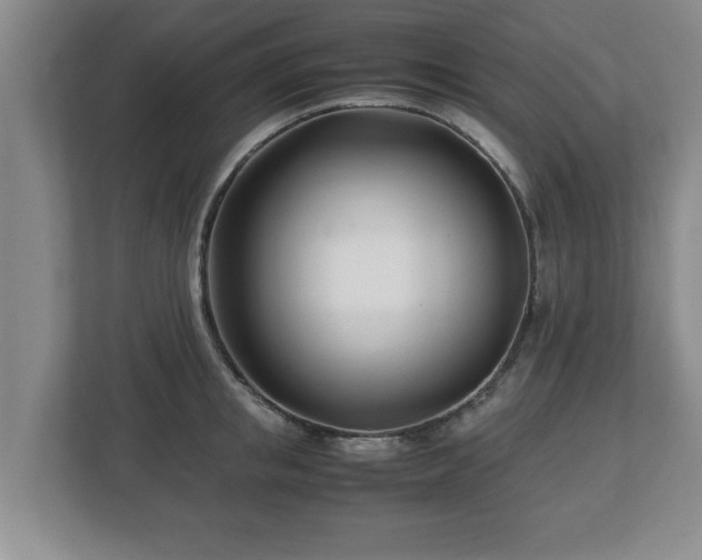 X0000113090853200909041147
