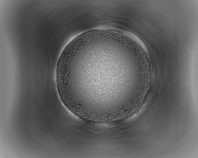 X0000113090855200909041147