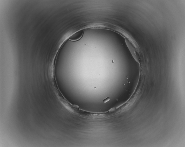 X0000113090858200909041147