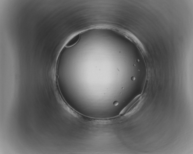 X0000113090860200909041148