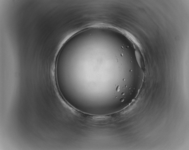 X0000113090863200909041148