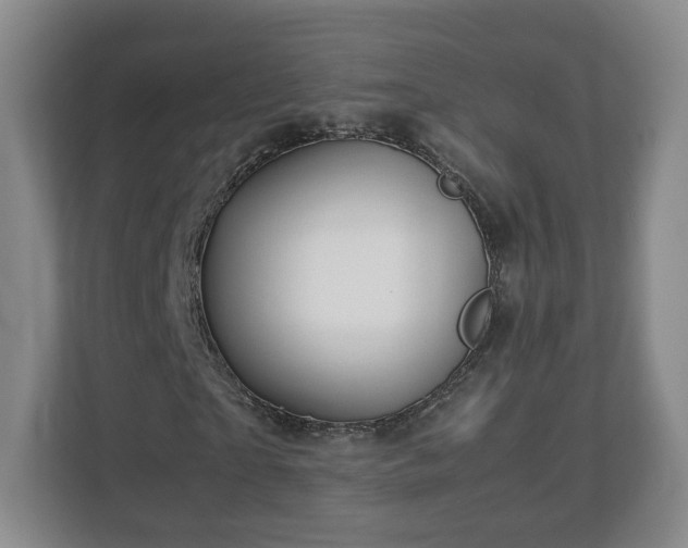 X0000113090865200909041147