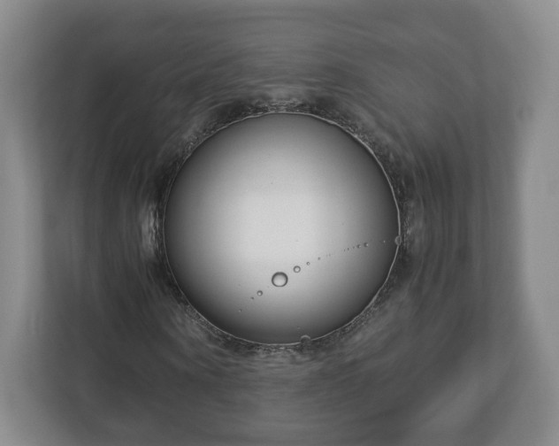 X0000113090866200909041147