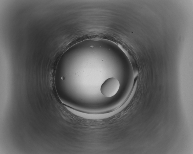 X0000113090868200909041147
