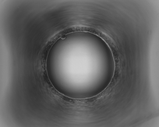 X0000113090870200909041147