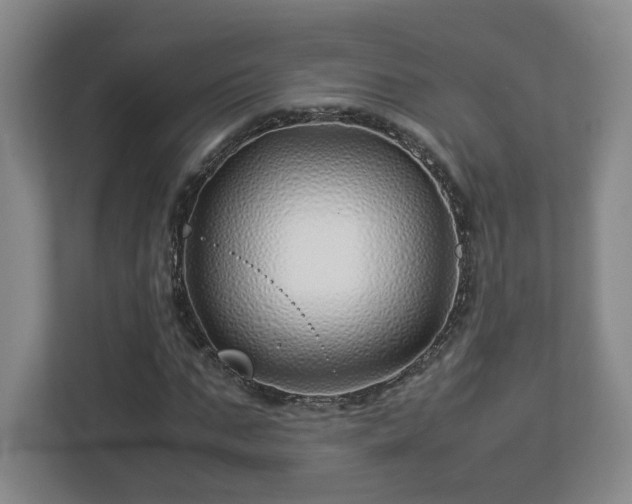 X0000113090871200909041147