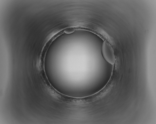 X0000113090876200909041147