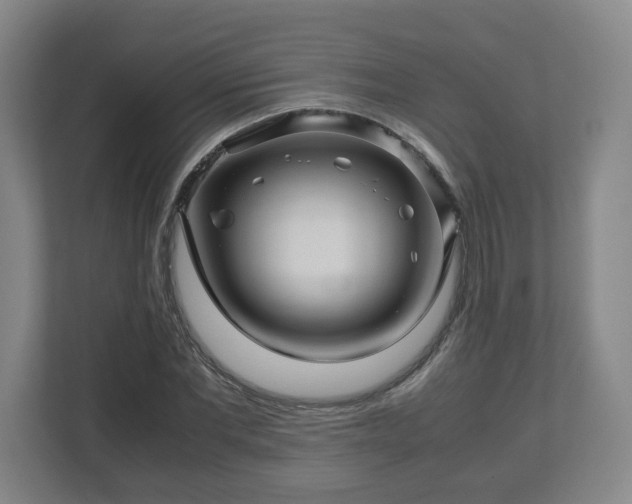 X0000113090877200909041147