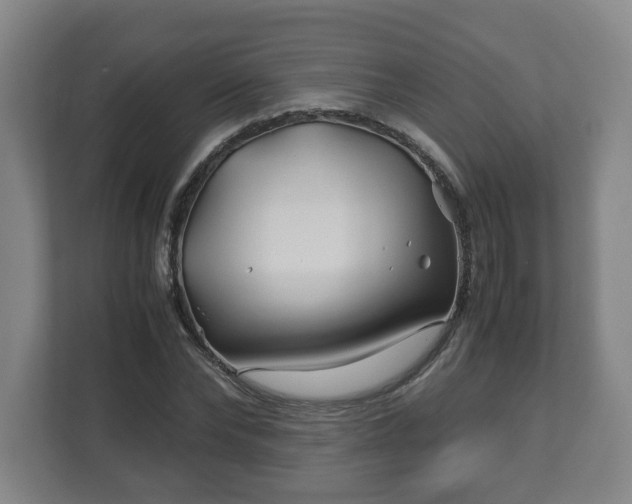 X0000113090878200909041147