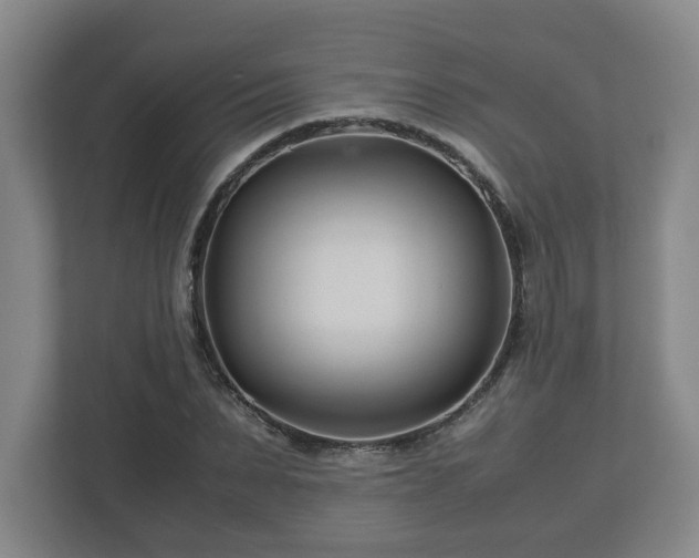 X0000113090879200909041147