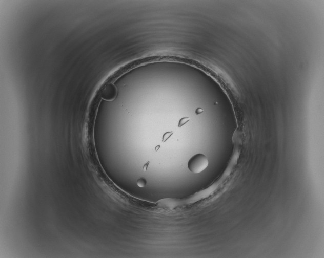 X0000113090880200909041147
