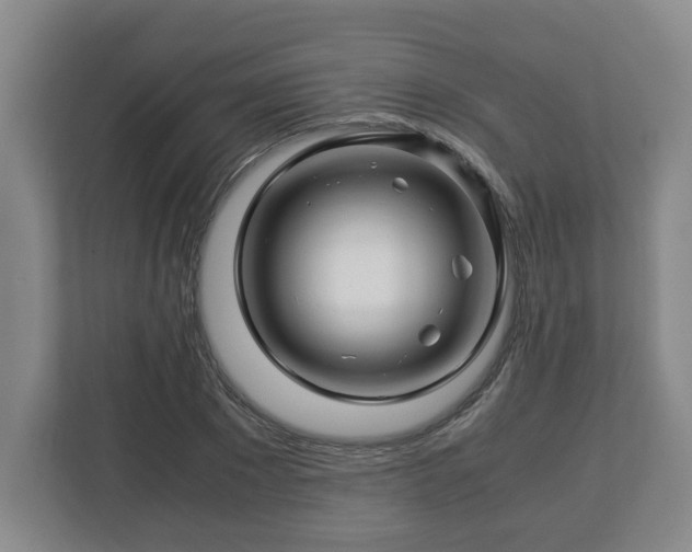 X0000113090881200909041147