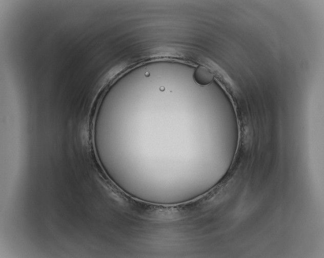 X0000113090882200909041147