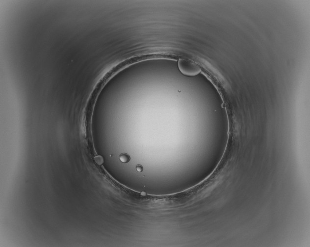 X0000113090883200909041147