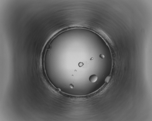 X0000113090884200909041147