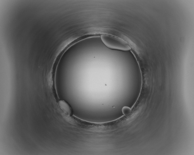 X0000113090885200909041147