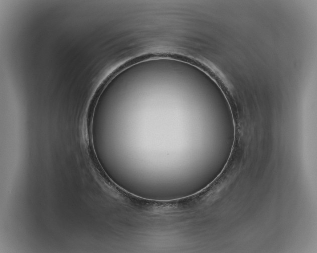 X0000113090887200909041147